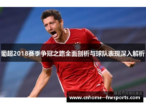 葡超2018赛季争冠之路全面剖析与球队表现深入解析 葡超2018赛季争冠之路全面剖析与球队表现深入解析