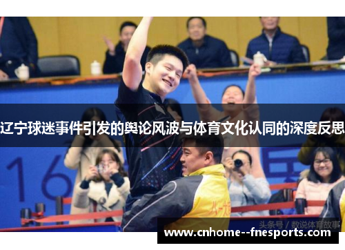 辽宁球迷事件引发的舆论风波与体育文化认同的深度反思