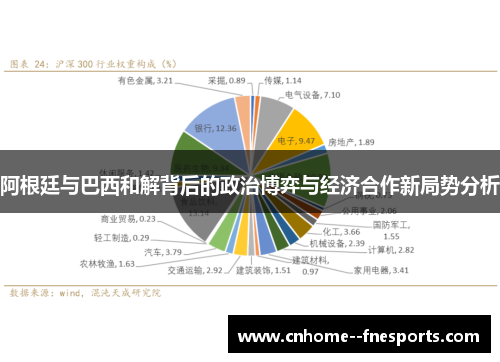 阿根廷与巴西和解背后的政治博弈与经济合作新局势分析