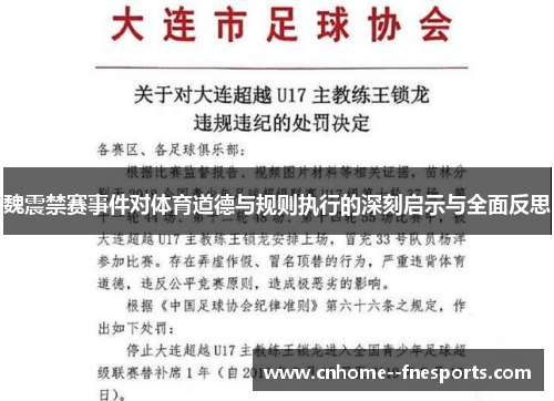 魏震禁赛事件对体育道德与规则执行的深刻启示与全面反思
