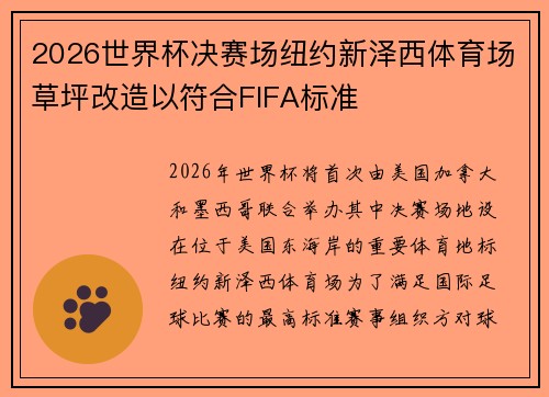 2026世界杯决赛场纽约新泽西体育场草坪改造以符合FIFA标准