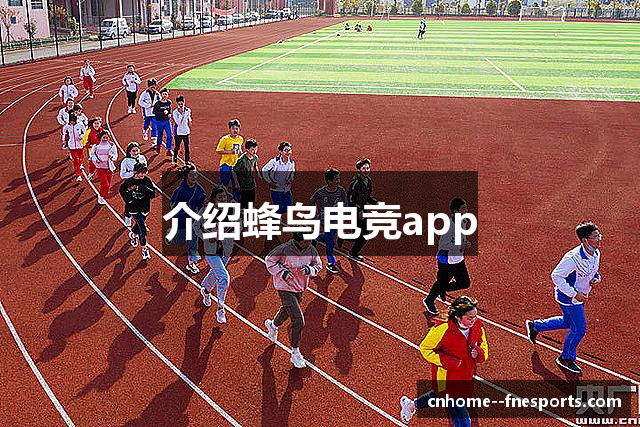 介绍蜂鸟电竞app